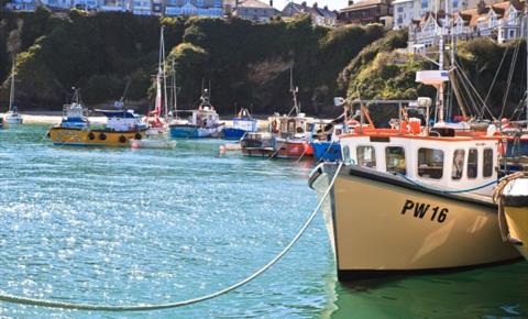 Newquay Harbour sports Day