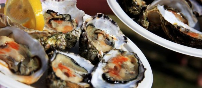 Falmouth Oyster Festival